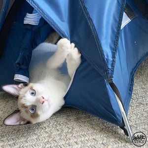 Matador Tiny Tent (Blue)